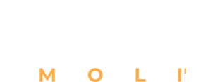 Logo OrientaMolì, composto dal testo ORIENTA con una freccia nella lettera N e sotto il testo MOLì