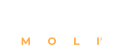 Logo OrientaMolì, composto dal testo ORIENTA con una freccia nella lettera N e sotto il testo MOLì